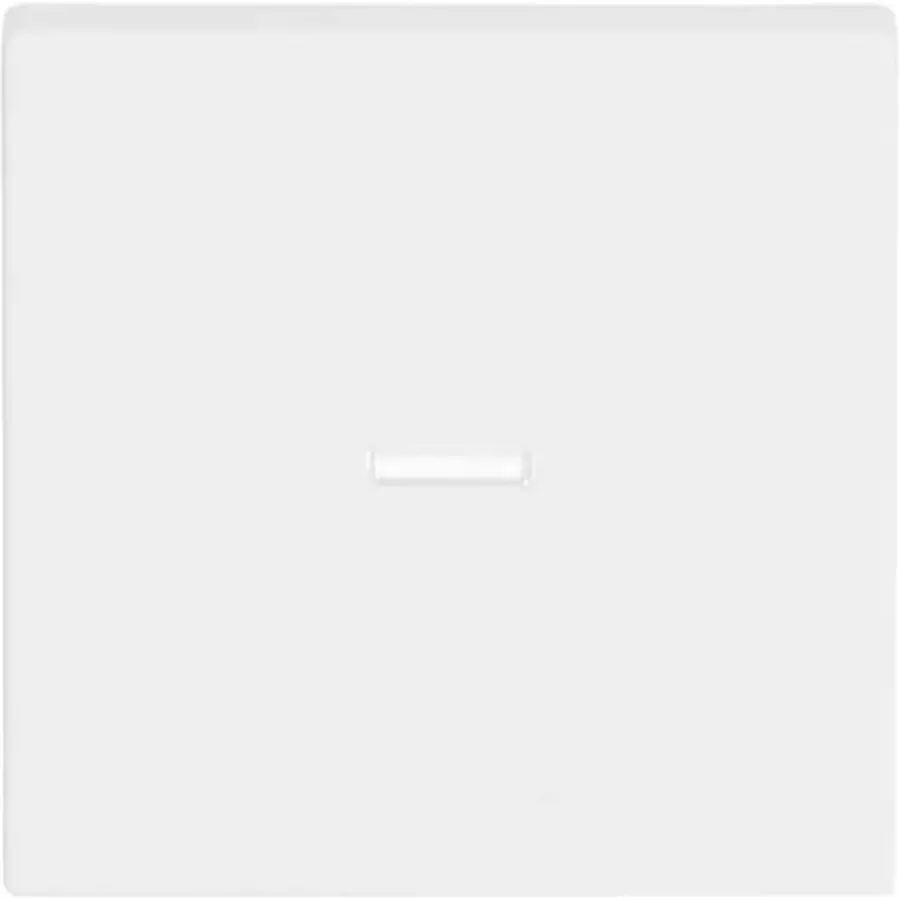 Busch-Jaeger schakelwip controlevenster Future Linear studiowit mat (1789 N-884)