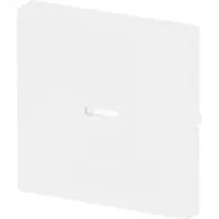 Busch-Jaeger schakelwip controlevenster Future Linear studiowit mat (1789 N-884)