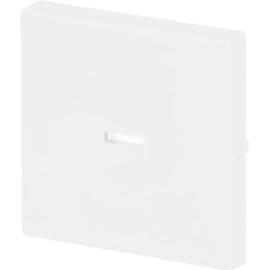 Busch-Jaeger schakelwip controlevenster Future Linear studiowit mat (1789 N-884)