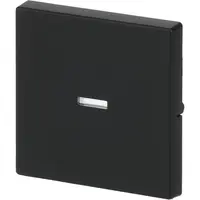 Busch-Jaeger schakelwip controlevenster Future Linear zwart mat (1789 N-885)