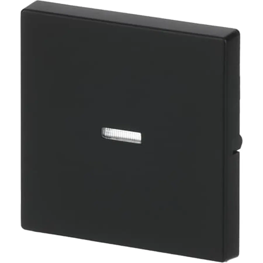 Busch-Jaeger schakelwip controlevenster Future Linear zwart mat (1789 N-885)