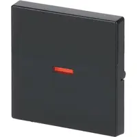 Busch-Jaeger schakelwip controlevenster rood Future Linear antraciet glans (1789-81)