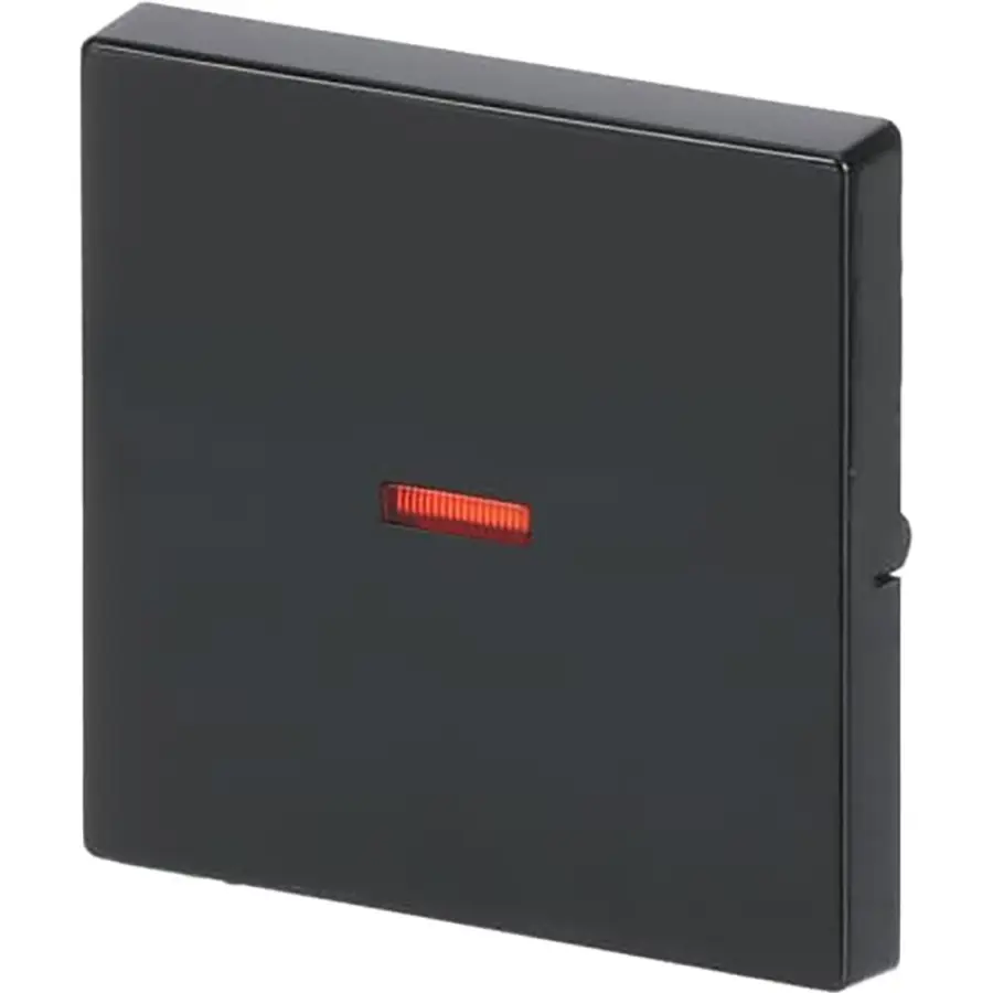 Busch-Jaeger schakelwip controlevenster rood Future Linear antraciet glans (1789-81)