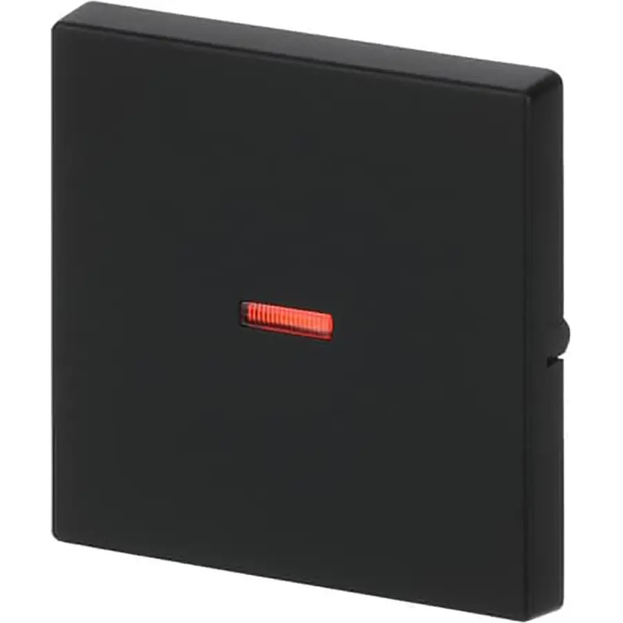 Busch-Jaeger schakelwip controlevenster rood Future Linear zwart mat (1789-885)