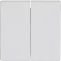 Busch-Jaeger schakelwip 2-voudig Future Linear studiowit mat (1785-884)