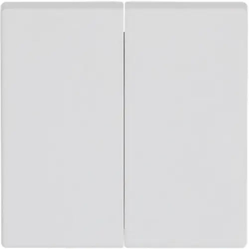 Busch-Jaeger schakelwip 2-voudig Future Linear studiowit mat (1785-884)