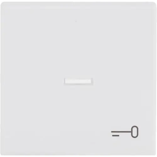 Busch-Jaeger schakelwip met controlevenster en symbool sleutel Future Linear studiowit mat (1789 TR-884)