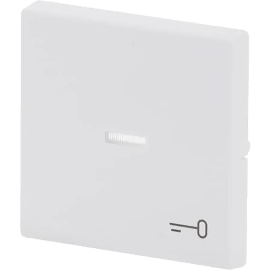 Busch-Jaeger schakelwip met controlevenster en symbool sleutel Future Linear studiowit mat (1789 TR-884)