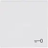 Busch-Jaeger schakelwip met symbool sleutel Future Linear studiowit mat (2520 TR-884) Busch-Jaeger schakelwip met symbool sleutel Future Linear studiowit mat (2520 TR-884)
