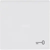 Busch-Jaeger schakelwip met symbool sleutel Future Linear studiowit mat (2520 TR-884)