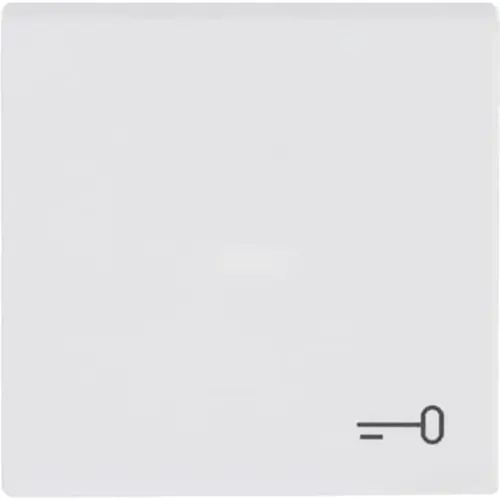 Busch-Jaeger schakelwip met symbool sleutel Future Linear studiowit mat (2520 TR-884)