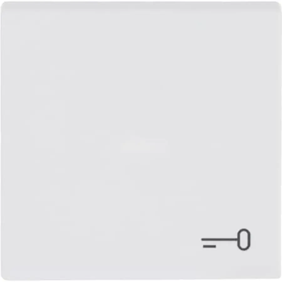 Busch-Jaeger schakelwip met symbool sleutel Future Linear studiowit mat (2520 TR-884)