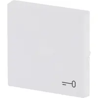 Busch-Jaeger schakelwip met symbool sleutel Future Linear studiowit mat (2520 TR-884)
