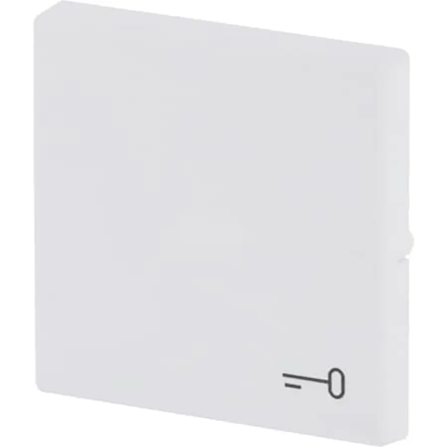 Busch-Jaeger schakelwip met symbool sleutel Future Linear studiowit mat (2520 TR-884)
