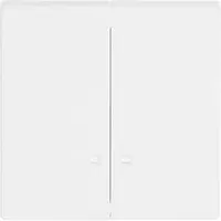 Busch-Jaeger schakelwip 2-voudig met controlevenster Future Linear studiowit mat (1785 K-884)