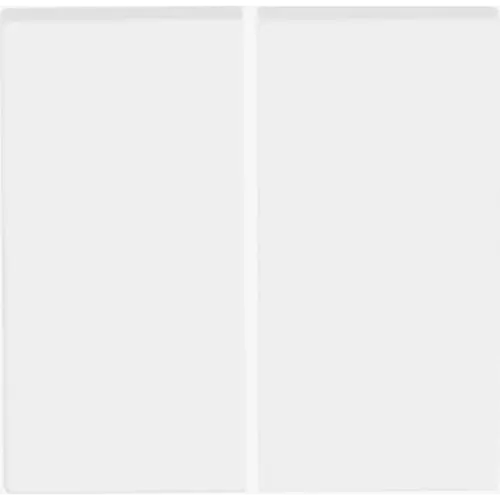 Busch-Jaeger Friends of Hue bedieningswip 2-voudig Future Linear studiowit mat (6736 FoH-884)
