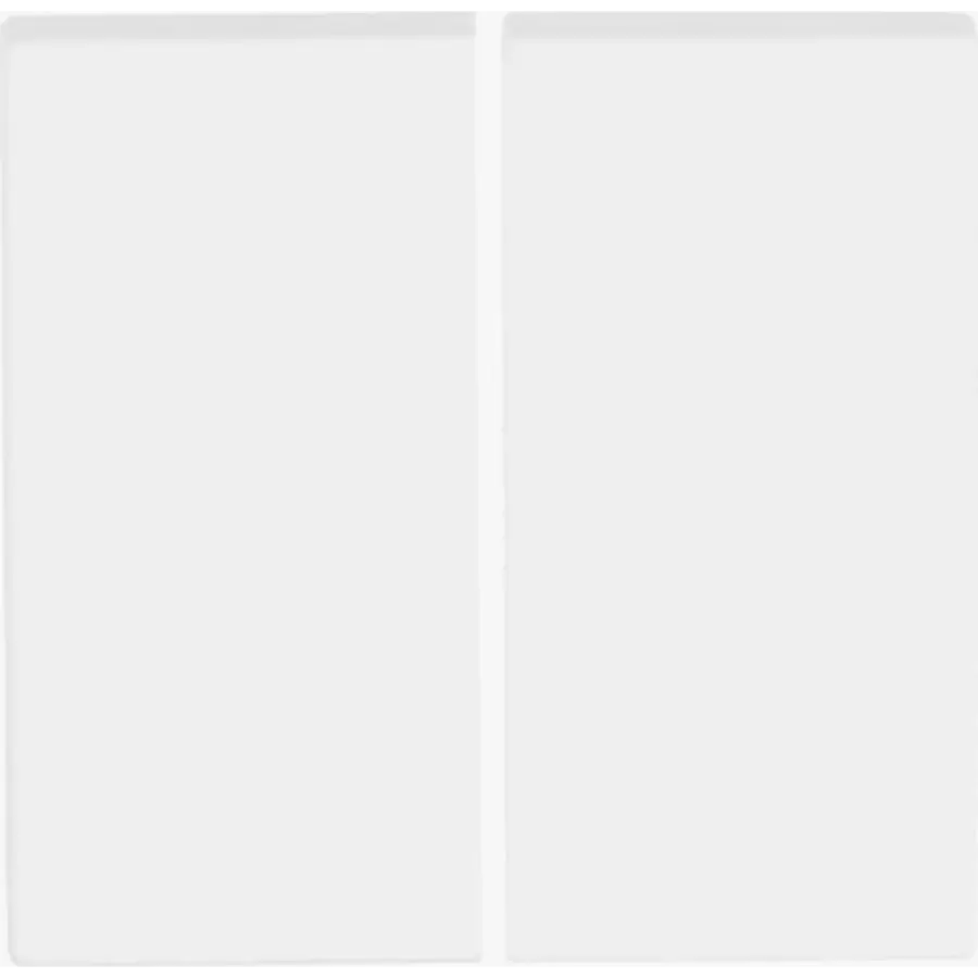 Busch-Jaeger Friends of Hue bedieningswip 2-voudig Future Linear studiowit mat (6736 FoH-884)
