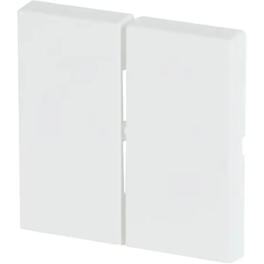 Busch-Jaeger Friends of Hue bedieningswip 2-voudig Future Linear studiowit mat (6736 FoH-884)