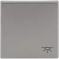 Busch-Jaeger schakelwip symbool licht Pure Stainless Steel (2520 LI-866)