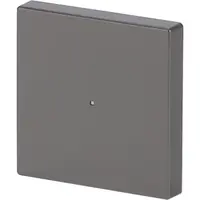 Busch-Jaeger bedieningswip 1-voudig tbv bedieningselement flex 1-voudig Pure Stainless Steel (6230-10-866)