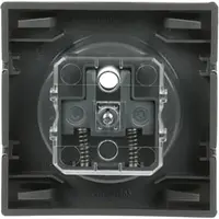 Busch-Jaeger centraalplaat voor wandcontactdoos met penaarde Pure Stainless Steel (2399 UCKS-866)