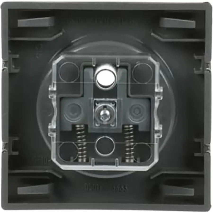 Busch-Jaeger centraalplaat voor wandcontactdoos met penaarde Pure Stainless Steel (2399 UCKS-866)