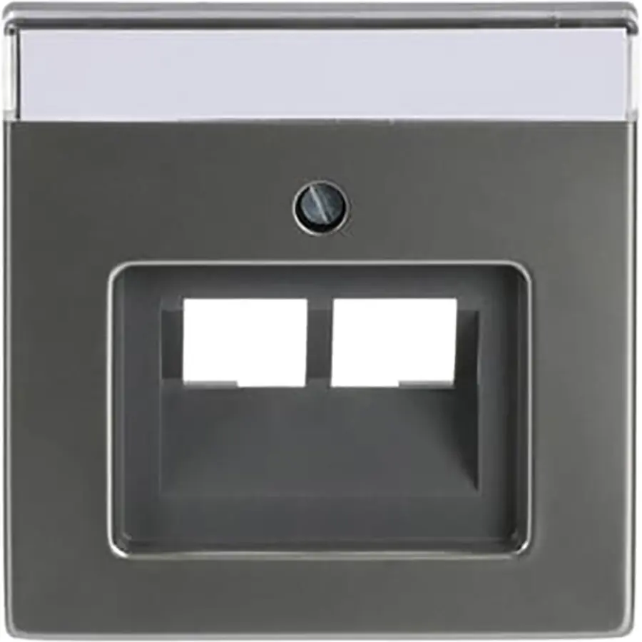 Busch-Jaeger centraalplaat RJ45 wandcontactdoos 2-voudig Pure Stainless Steel (1803-02-866)