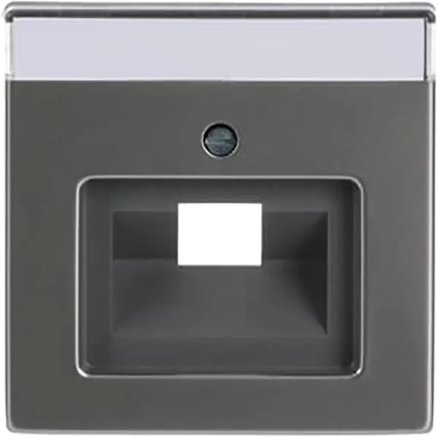 Busch-Jaeger centraalplaat RJ45 wandcontactdoos 1-voudig Pure Stainless Steel (1803-866)