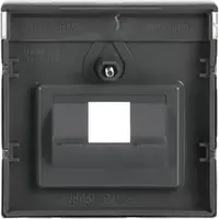 Busch-Jaeger centraalplaat RJ45 wandcontactdoos 1-voudig Pure Stainless Steel (1803-866)