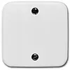 Busch-Jaeger centraalplaat voor trekschakelaar 2610/6U Reflex SI (1796-214) Busch-Jaeger centraalplaat voor trekschakelaar 2610/6U Reflex SI (1796-214)