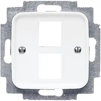 Busch-Jaeger centraalplaat + draagring 2x modular jack Reflex SI (2561-02-214)