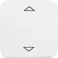 Busch-Jaeger knop met pijlsymbolen tbv elektronische jaloezieschakelaar Reflex SI (6430-214-102)