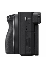 Sony Sony A6500 + E PZ 18-105 f/4 G OSS