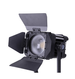 Ledgo Ledgo LG-D300C bi-color fresnel