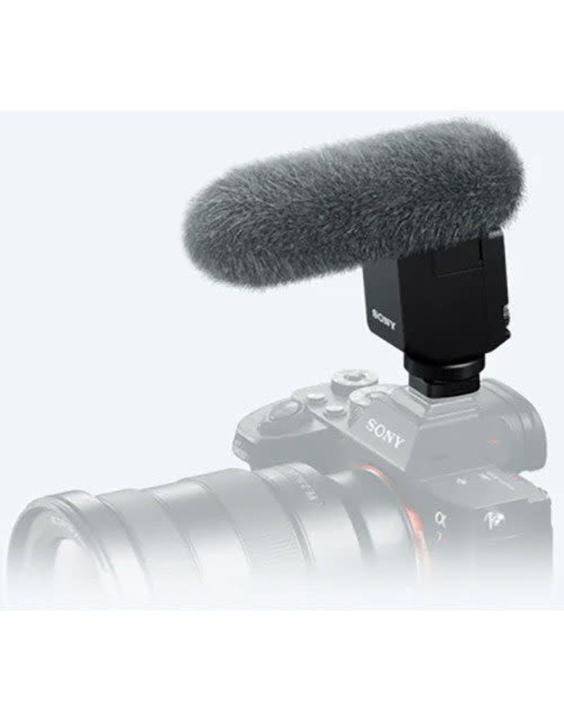 Sony Sony ECM-B1M microphone