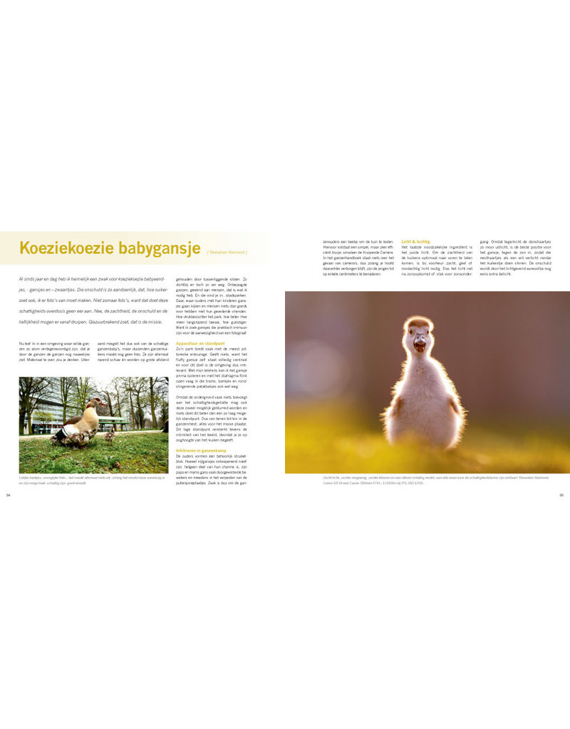 Birdpix Praktijkboek Natuurfotografie NXT LVL