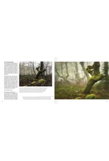 Birdpix Woodscapes - handboek sfeervolle bosfotografie