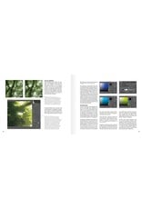 Birdpix Woodscapes - handboek sfeervolle bosfotografie
