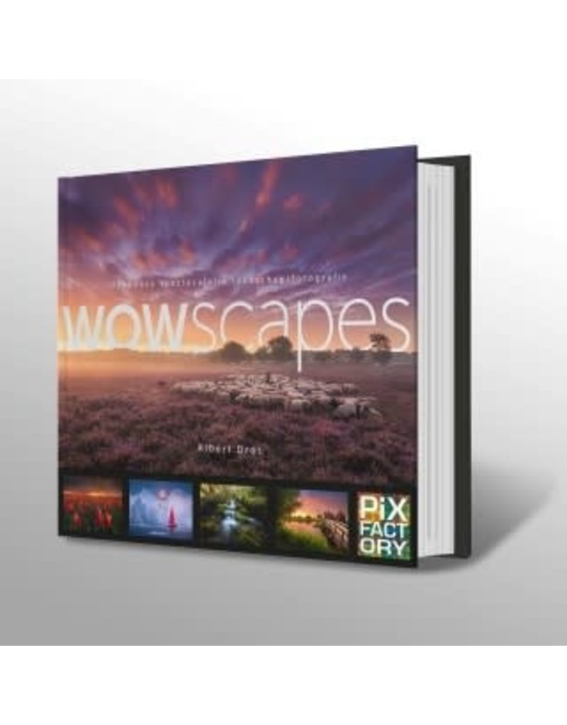 Birdpix WoWscapes - handboek spectaculaire landschapsfotografie