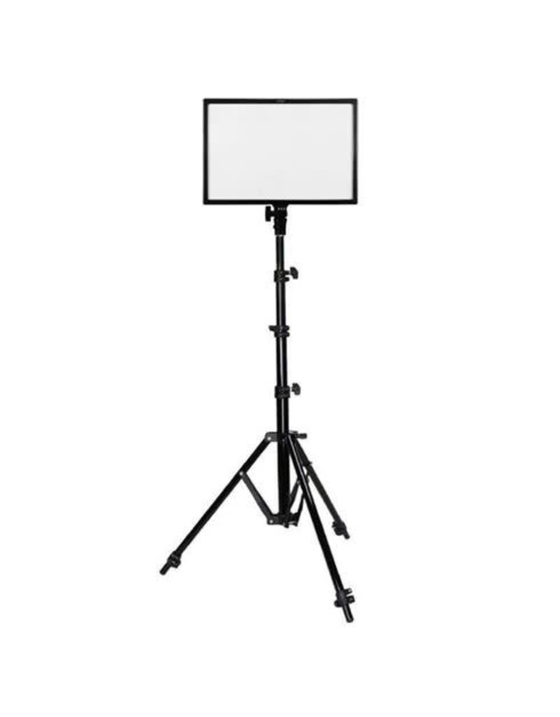 Ledgo Ledgo E268CII Bi-Color kit w/light stands - 2 lights