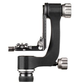 Benro Gimbal Head GH2N w/ Quick Release Plate