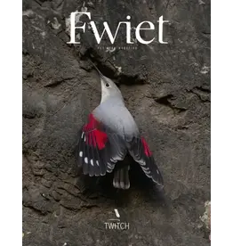 Fwiet 7 - Twich