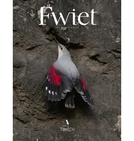 Fwiet Fwiet 7 - Twich