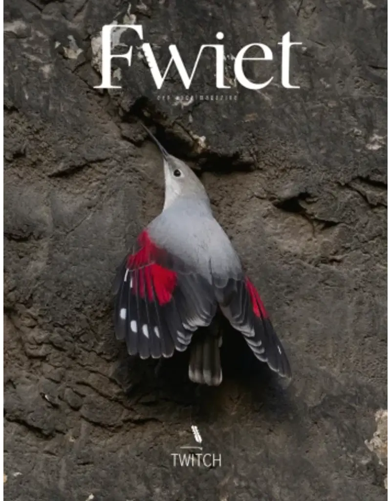 Fwiet Fwiet 7 - Twich