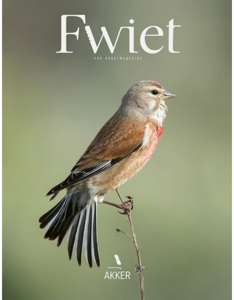 Fwiet Fwiet 9 - Akker