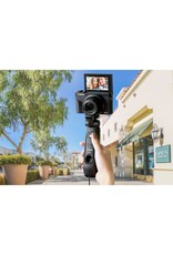 Canon Canon Tripod Grip HG-100TBR