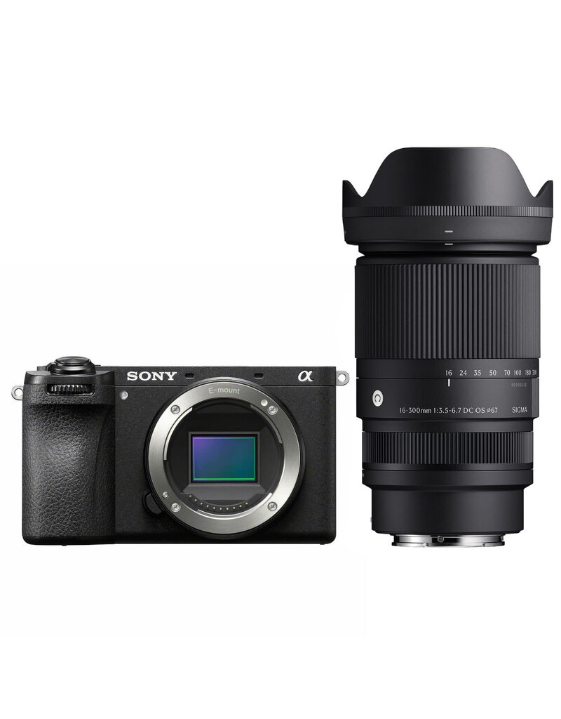 Sony Sony A6700 + Sigma 16-300 f/3.5-6.7
