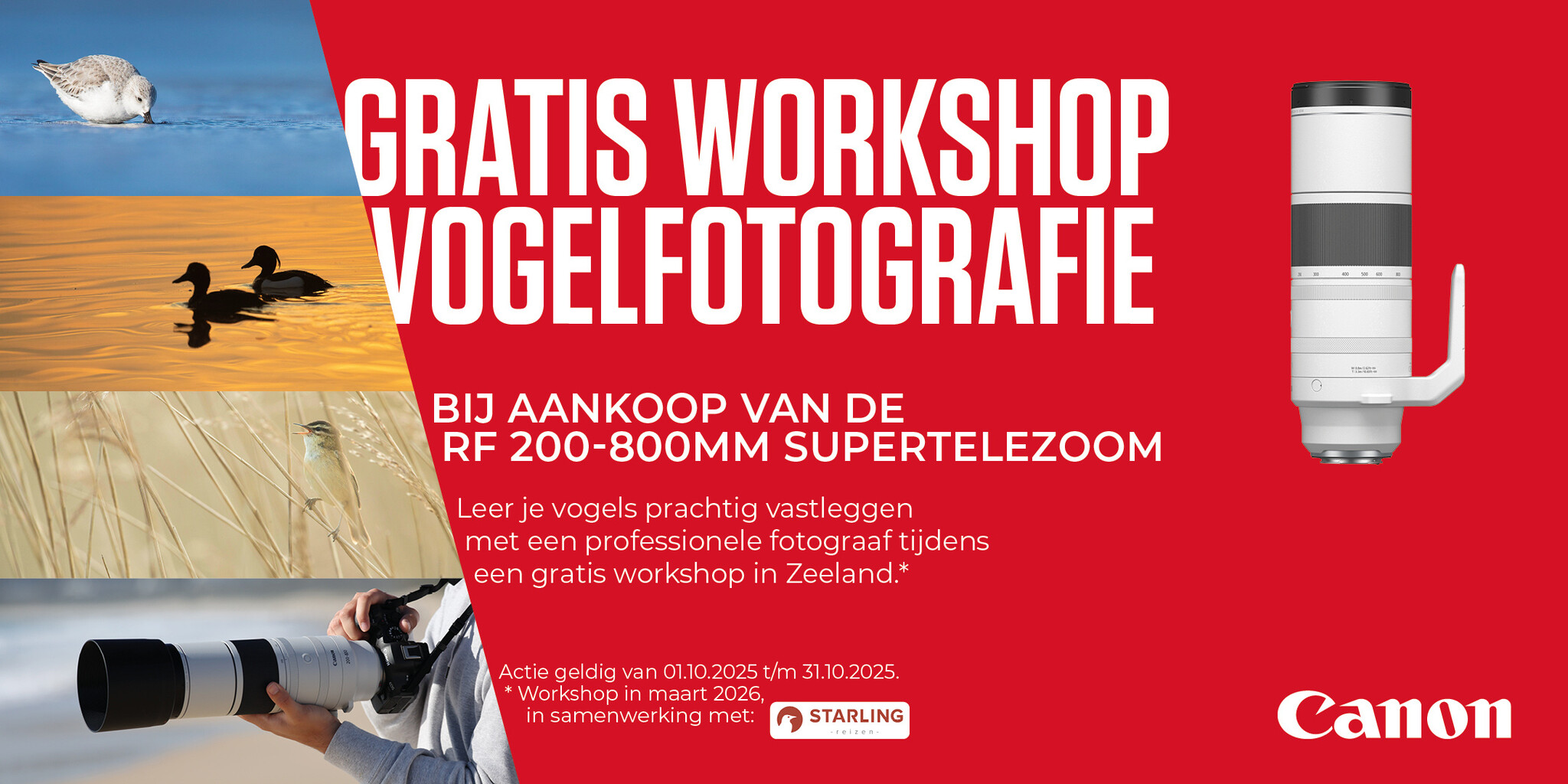 Canon RF 200-800 promotie gratis workshop vogelfotografie