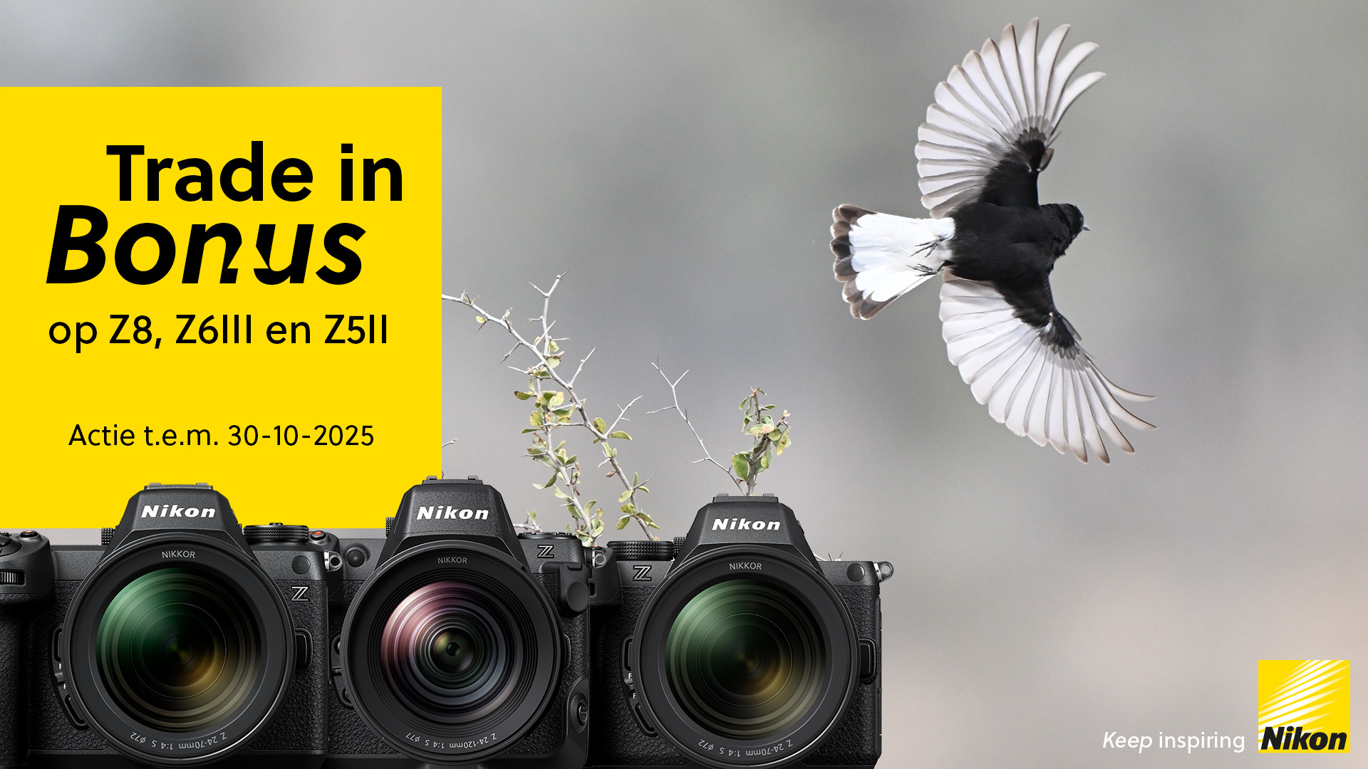 Nikon promotie korting Z8 Z6III Z5ii