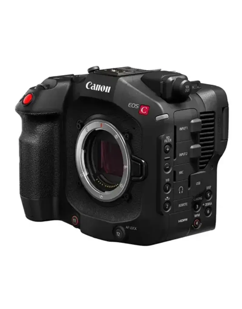 Canon Canon EOS C80